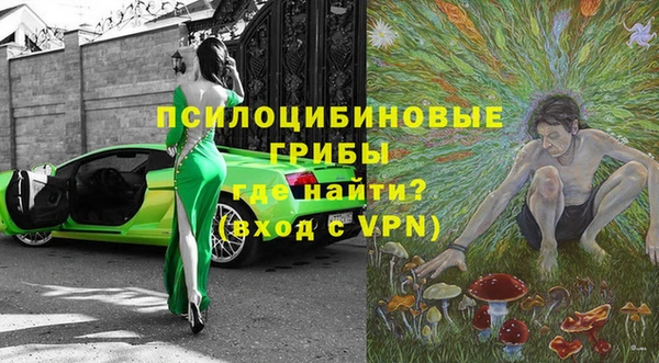 spice Абаза