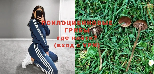spice Абаза