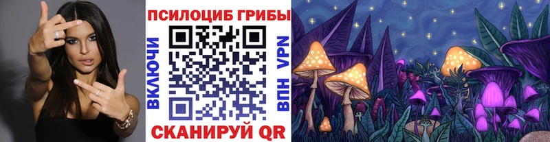 Псилоцибиновые грибы MAGIC MUSHROOMS  Разумное 